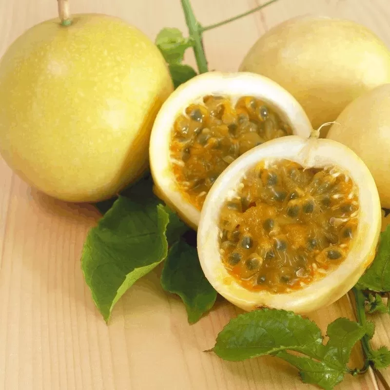 Passiflora edulis flavicarpa AMARILLA