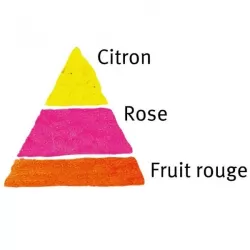 Rožė - Rosa ROSE DES CISTERCIENS ®