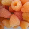 Rubus ideaus All Gold