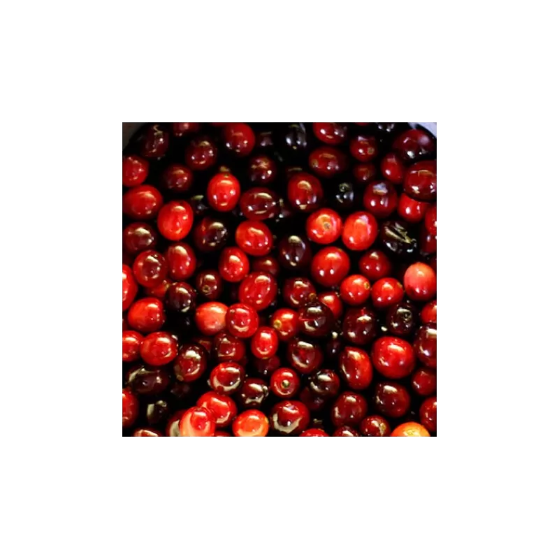 Vaccinium macrocarpon BEN LEAR