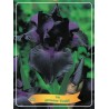 Iris germanica Swahili P11 (užsakius iš rudens 8 vnt. + 2 vnt. dovanų)  tamsi purpurinė