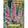 Pentinius - Delphinium PINK SHADES