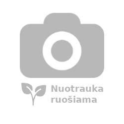 Vazonas, plastiko, žemas, apvalus, chrizantemoms, grotuotu dugnu20Ø h9,5cm C2,2L, ZD+, WR, U2, Naujiena