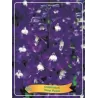 Delphinium DEEP PURPLE
