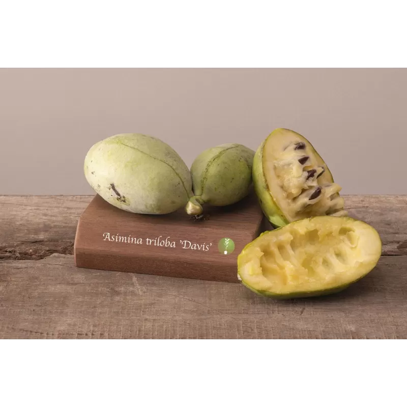 E-medelynas internete: vaismedžiai ir vaiskrūmiai