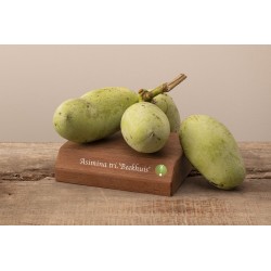 E-medelynas internete: vaismedžiai ir vaiskrūmiai