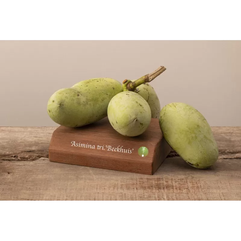 E-medelynas internete: vaismedžiai ir vaiskrūmiai