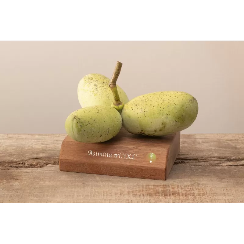 E-medelynas internete: vaismedžiai ir vaiskrūmiai