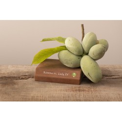 E-medelynas internete: vaismedžiai ir vaiskrūmiai