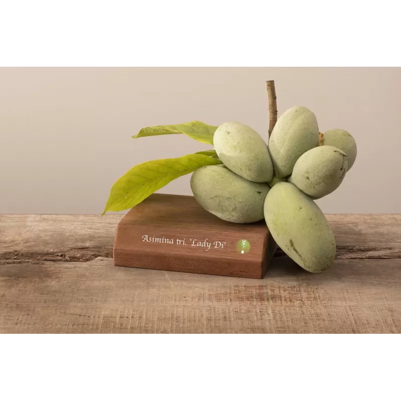 E-medelynas internete: vaismedžiai ir vaiskrūmiai