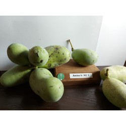 E-medelynas internete: vaismedžiai ir vaiskrūmiai