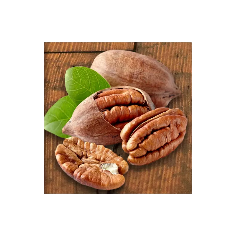 Riešutmedžiai internetu