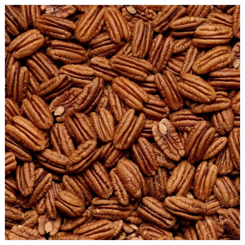 Pekano riešutmedis - Carya illinoinensis FISHER