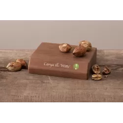 Pekano riešutmedis - Carya illinoinensis WITTE