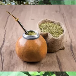 Paragvajinis bugienis (žalioji matė) - Ilex paraguariensis (Yerba mate)