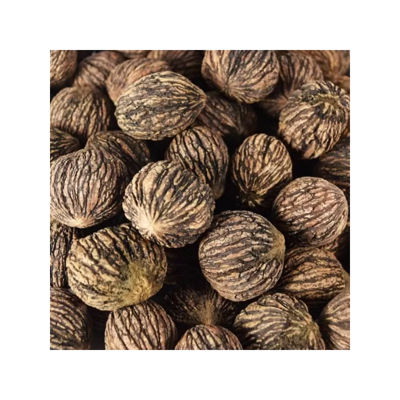 Juodasis riešutmedis - Juglans nigra SPARROW (Scrimger)