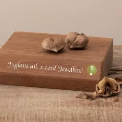 Širdžiavaisis riešutmedis - Juglans ailantifolia x cordiformis JEWELBOX