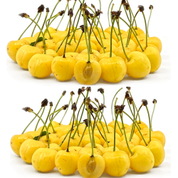 Trešnė DROGANO GELTONOJI