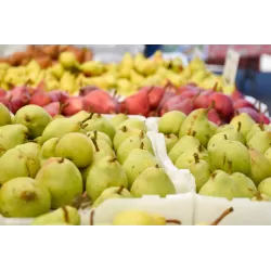 Vaismedžiai rudens sodinimui - Žagarės sodų asortimentas