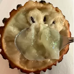 Rollinia deliciosa (Annona mucosa, Biribà)