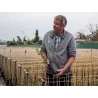 Plačiažiedė raganė - Clematis patens DR RUPPEL