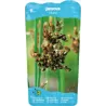 Juncus inflexus P9C0.5