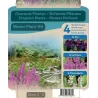 Dry packaging waterpl Scented