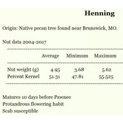 Pekano riešutmedis - Carya illinoinensis HENNING