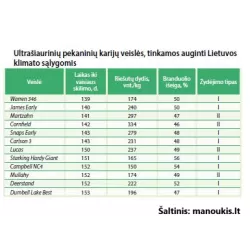 Pekano riešutmedis - Carya illinoinensis WARREN 346