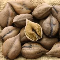 Širdžiavaisis riešutmedis - Juglans ailantifolia x cordiformis FRANCK