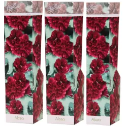 Alcea rosea CRIMSON RED