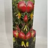Granatmedis Punica granatum
