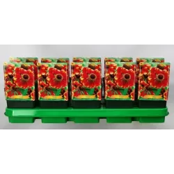 Saulainė - Helenium Chelsey P11 raudona pristatymas 2023 m. pavasarį