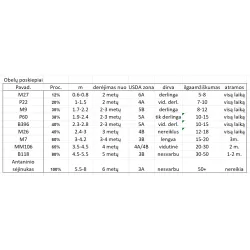 Naminė obelis - Malus domestica ALDAS