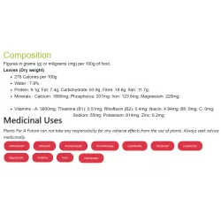 Paprastasis čiobrelis - Thymus vulgaris