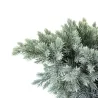 Žvynuotasis kadagys (formuotas) - Juniperus squamata Blue Star