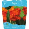 Canna CLEO
