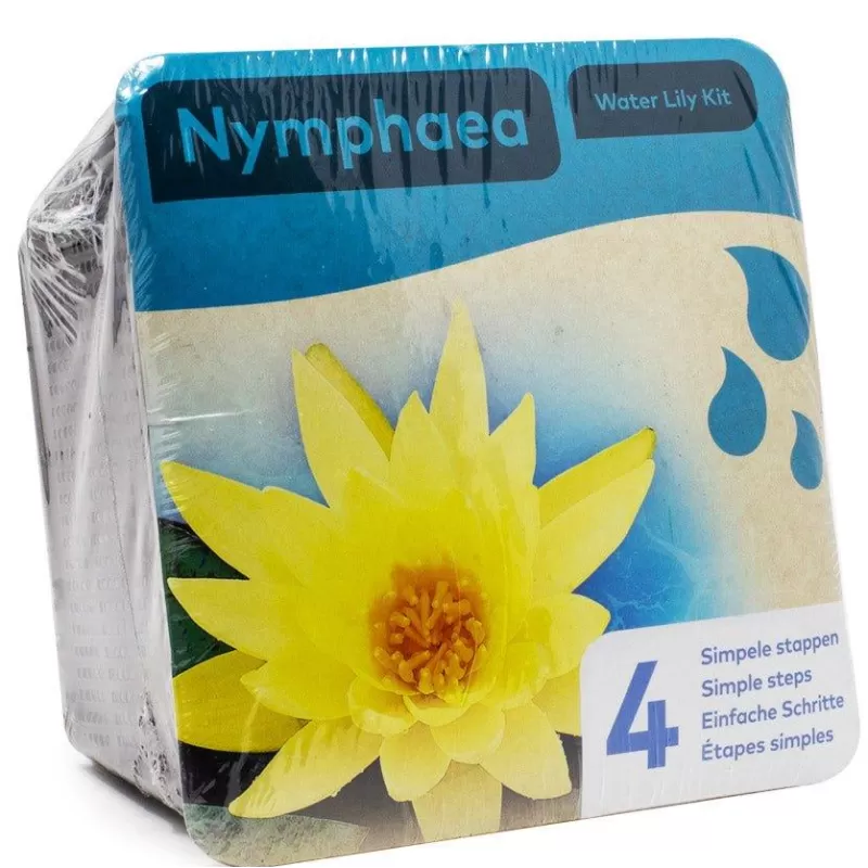 Vandens lelija (rinkinys, geltona) - Nymphaea water lily kit, yellow