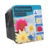 Nymphaea water lily kit, 3 in 1