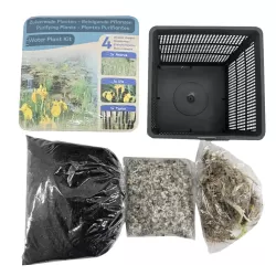 Vandens augalų rinkinys SKAIDRINANTIS - Water plant kit PURIFYING