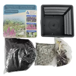 Vandens augalų rinkinys KVAPNUSIS - Water plant kit SCENTED