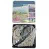 Vandens augalų rinkinys KVAPNUSIS - Water plant kit SCENTED
