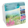 Water plant kit SCENTED