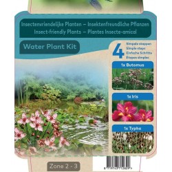 Water plant kit INSECT FRIENDLY
