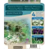 Water plant kit BLOOMING