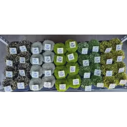 Mossy Precious Earth Spring Mix