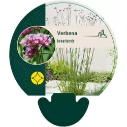 Užsisakyk augalus pavasariui jau dabar