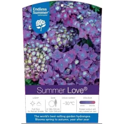 Darželinė hortenzija - Hydrangea macrophylla ENDLESS SUMMER® SUMMER LOVE ® PURPLE