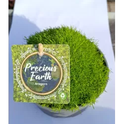 Mossy Precious Earth Spring Mix