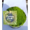 Mossy Precious Earth Spring Mix